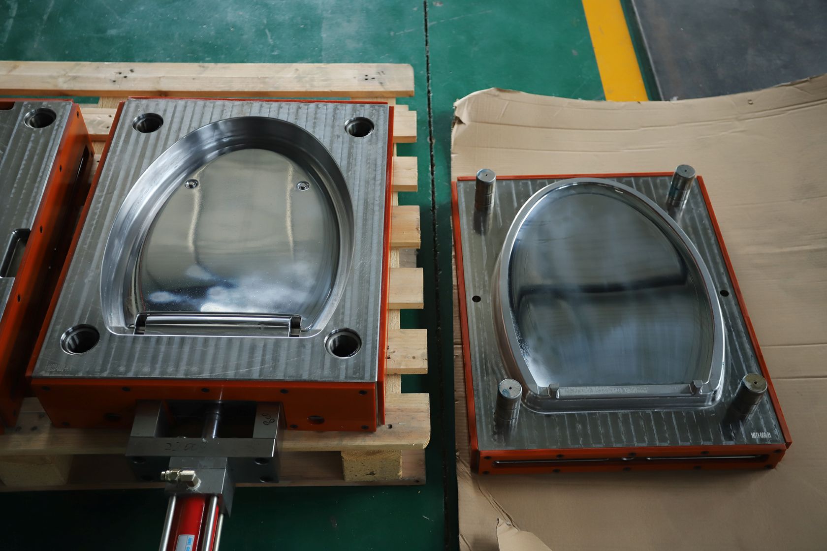 Toilet Seat Mold