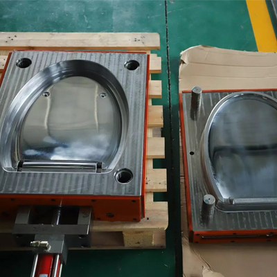Toilet Seat Mold